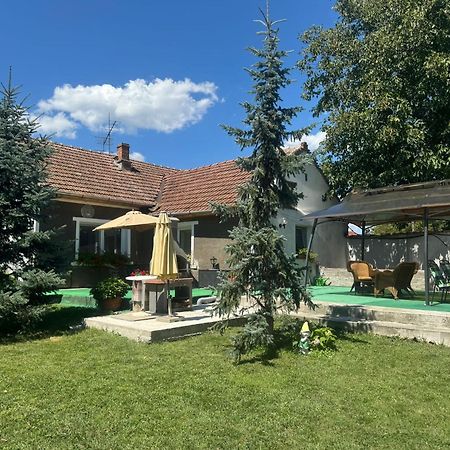 Home Tara Haţeg Екстериор снимка