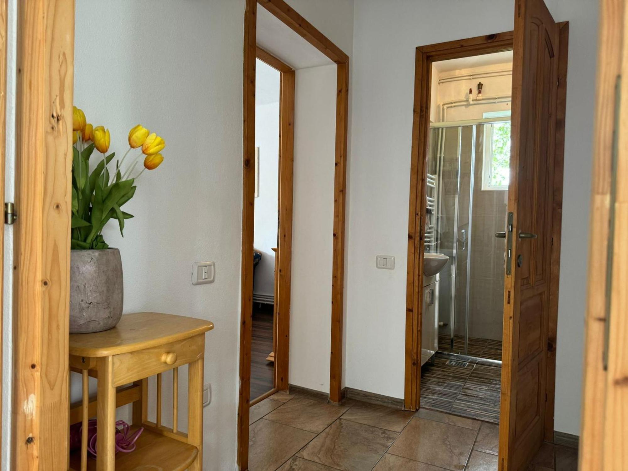 Home Tara Haţeg Екстериор снимка